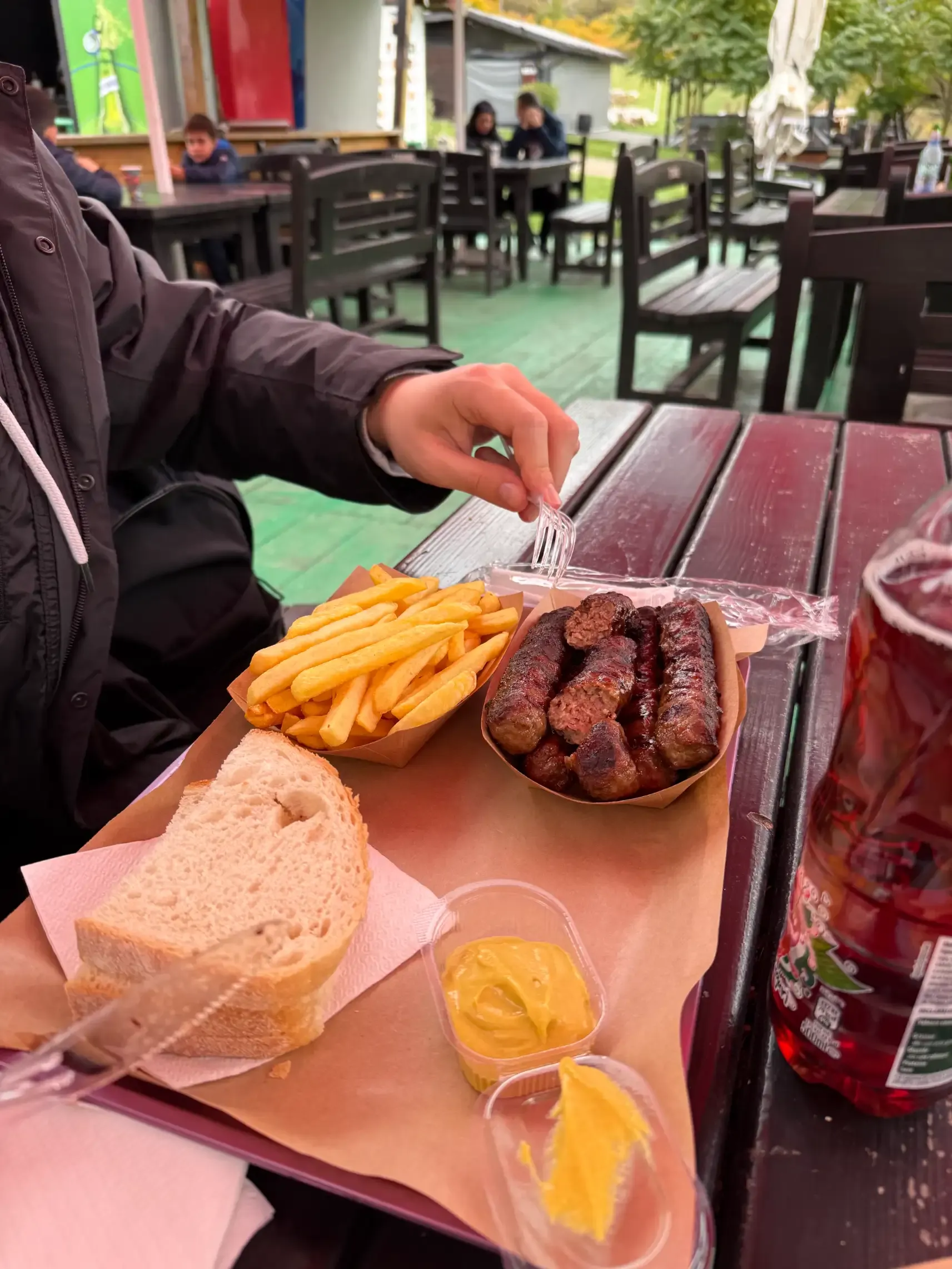 Mici con patatas fritas y mostaza